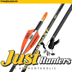 PANDARUS ARCHERY ALPHA XT ARROWS 4.2MM 12PCs PANDARUS ARCHERY ALPHA XT ARROWS 4.2MM 12PCs