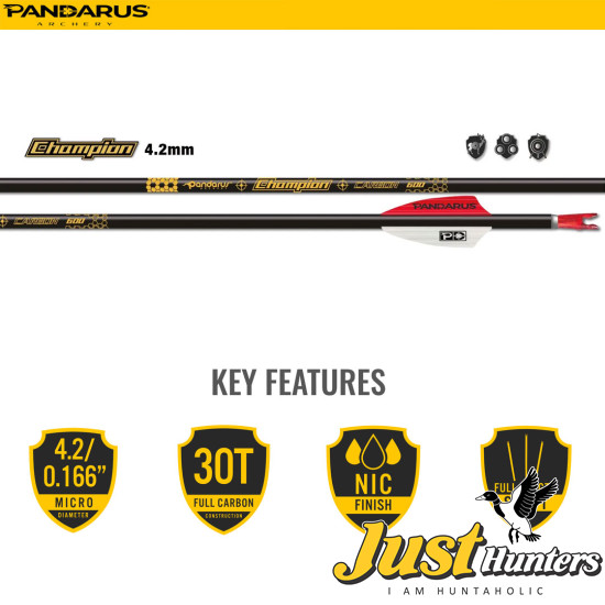 PANDARUS ARCHERY CHAMPION ARROWS 4.2MM 12PC