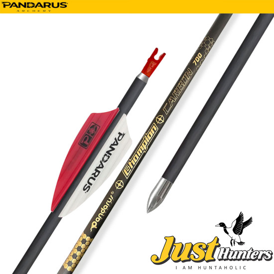 PANDARUS ARCHERY CHAMPION ARROWS 4.2MM 12PC