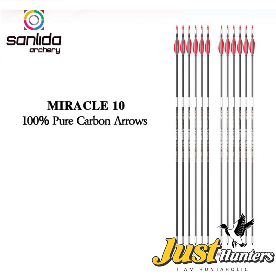 Sanlida Archery Miracle X10 Target Recurve Carbon Arrows 12pcs