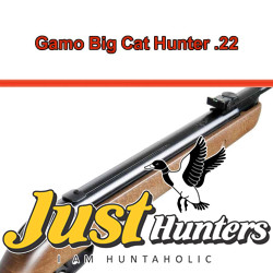 Gamo Airgun Big Cat Hunter .22 Cal Gamo Airgun Big Cat Hunter .22 Cal
