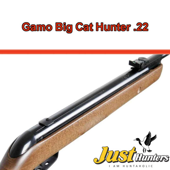 Gamo Airgun Big Cat Hunter .22 Cal