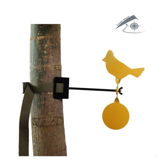 Plinking Revolving a Target for Airgun Shooting