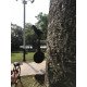 Screwed Type Black Steel Plinking Target Screwed Type Black Steel Plinking Target
