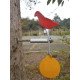 Steel Plinking Rotating Target Pigeon Steel Plinking Rotating Target Pigeon