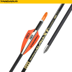 PANDARUS ARCHERY ALPHA XT ARROWS 4.2MM 12PCs