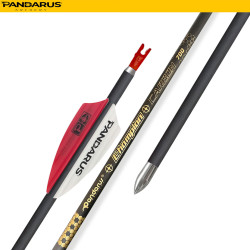 PANDARUS ARCHERY CHAMPION ARROWS 4.2MM 12PCs