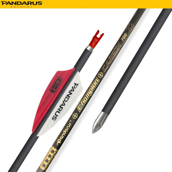 PANDARUS ARCHERY CHAMPION ARROWS 4.2MM 12PCs PANDARUS ARCHERY CHAMPION ARROWS 4.2MM 12PCs