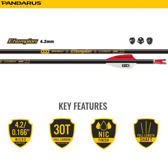 PANDARUS ARCHERY CHAMPION ARROWS 4.2MM 12PCs PANDARUS ARCHERY CHAMPION ARROWS 4.2MM 12PCs