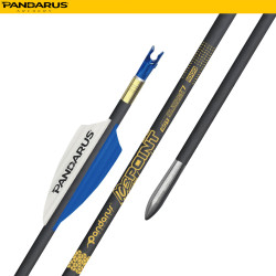 PANDARUS ARCHERY ICE POINT ARROWS 3.2MM 12PCs
