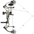 Compound Bow