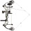 Compound Bow