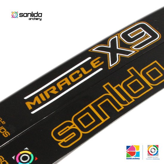 Sanlida Archery Miracle X9 Target Recurve Limbs