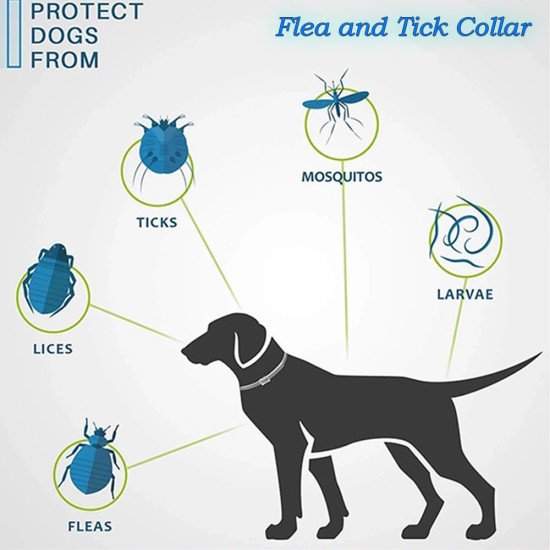 Flea and Tick Collar for Dogs Cats Natural Herbal Adjustable Waterproof Flea and Tick Collar for Dogs Cats Natural Herbal Adjustable Waterproof