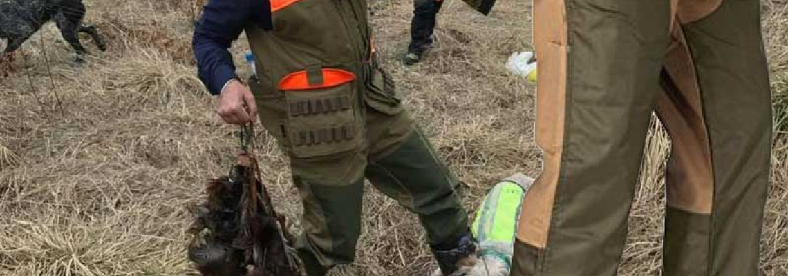 Hunting in Pakistan: Tradition, Terrain, and the Evolving Pursuit of the Wild