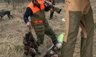 Hunting in Pakistan: Tradition, Terrain, and the Evolving Pursuit of the Wild