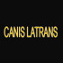 Canis Latrans