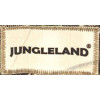 Jungleland