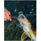 Rising Keep Fish Pliers Ultralight Rising Keep Fish Pliers Ultralight