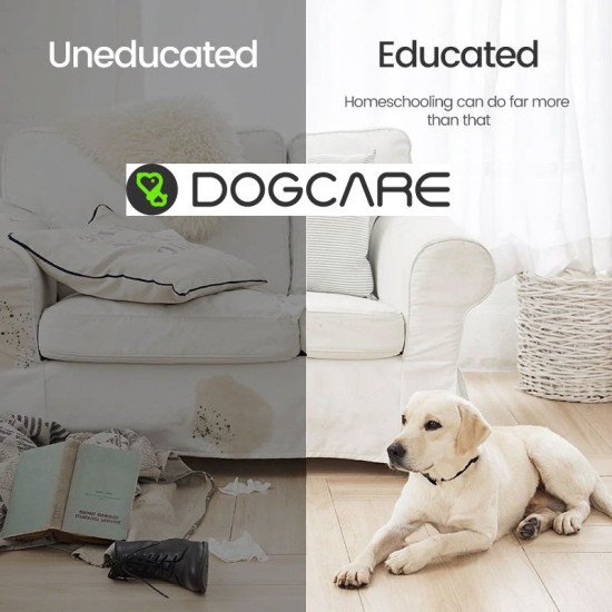 Dog Care Advance Dog Training E-Collar