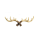 Deer Horn Wall Hooks Deer Horn Wall Hooks