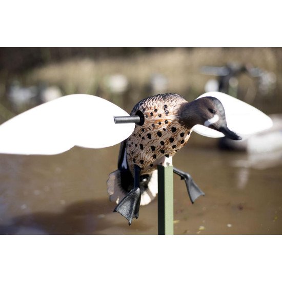 MOJO® Blue Wing Teal MOJO® Blue Wing Teal