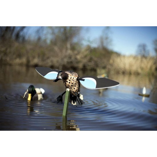 MOJO® Blue Wing Teal MOJO® Blue Wing Teal
