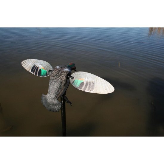 MOJO® Elite Series™ - Green Wing Teal MOJO® Elite Series™ - Green Wing Teal