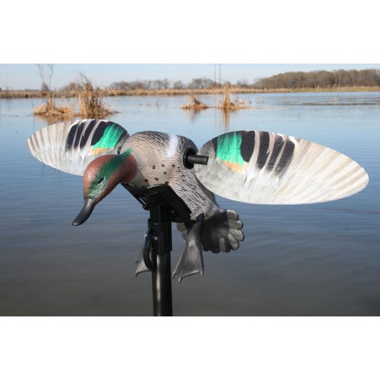 MOJO® Elite Series™ - Green Wing Teal MOJO® Elite Series™ - Green Wing Teal