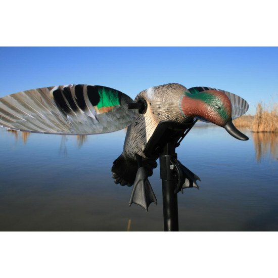 MOJO® Elite Series™ - Green Wing Teal MOJO® Elite Series™ - Green Wing Teal