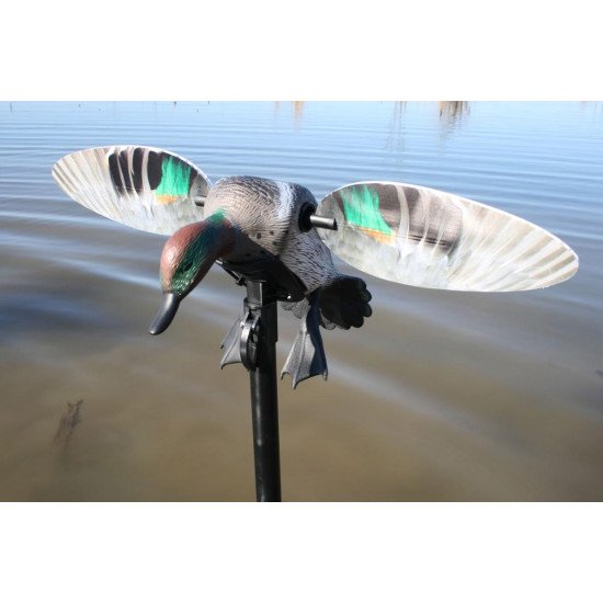 MOJO® Elite Series™ - Green Wing Teal MOJO® Elite Series™ - Green Wing Teal