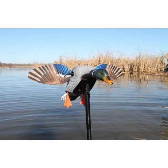 MOJO® Elite Series™ - Mini Mallard Drake