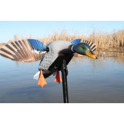 MOJO® Elite Series™ - Mini Mallard Drake MOJO® Elite Series™ - Mini Mallard Drake