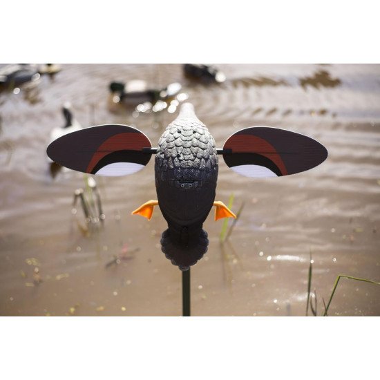 MOJO® Outdoor Gadwall MOJO® Outdoor Gadwall