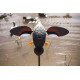 MOJO® Outdoor Gadwall MOJO® Outdoor Gadwall