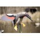 MOJO® Outdoor Gadwall MOJO® Outdoor Gadwall