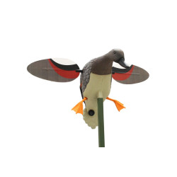 MOJO® Outdoor Gadwall MOJO® Outdoor Gadwall