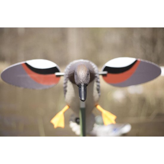MOJO® Outdoor Gadwall MOJO® Outdoor Gadwall