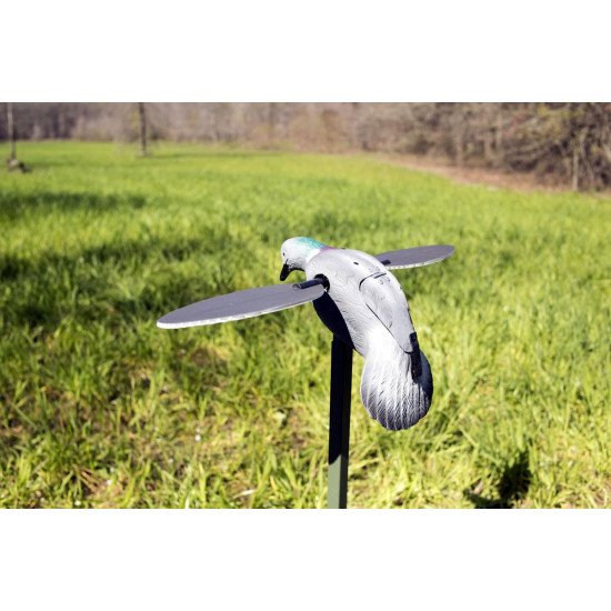 Mojo Pigeon Decoy