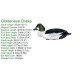 Goldeneye Foldable, Portable, Shotproof Decoys