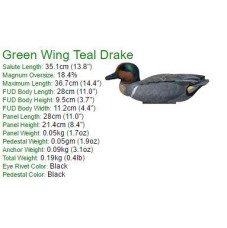 Green Wing Teal Foldable, Portable, Shotproof Decoys Green Wing Teal Foldable, Portable, Shotproof Decoys