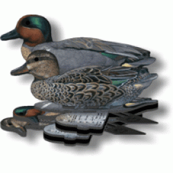 Green Wing Teal Foldable, Portable, Shotproof Decoys