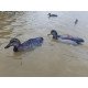 Mallard Foldable, Portable, Shotproof Decoys