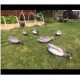 Mallard Foldable, Portable, Shotproof Decoys