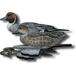 Pintail Decoy Foldable, Portable, Shotproof Decoys
