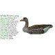 White Front Decoy Foldable, Portable, Shotproof Decoys