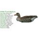 White Front Decoy Foldable, Portable, Shotproof Decoys