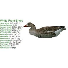 White Front Decoy Foldable, Portable, Shotproof Decoys