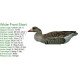 White Front Decoy Foldable, Portable, Shotproof Decoys