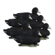 Higdon Foam Filled Coot Decoys 6 Pc